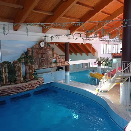 Szalamandra * Nyíregyháza